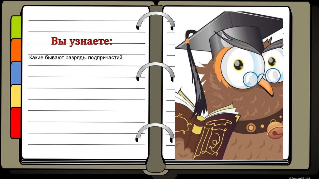 Вы узнаете: