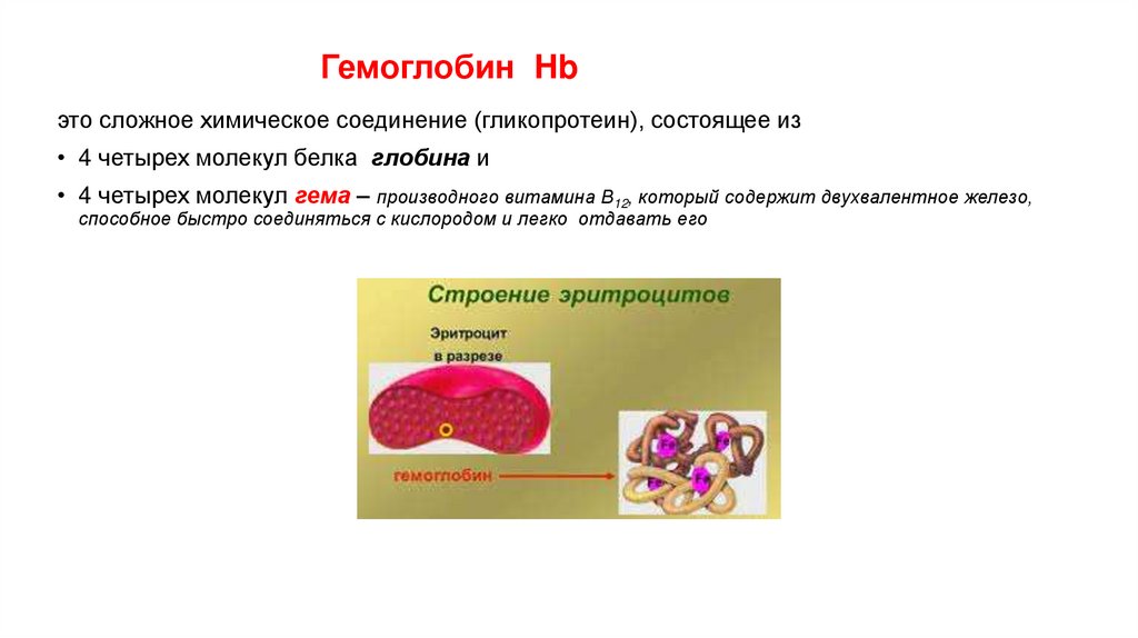 Гемоглобин Hb