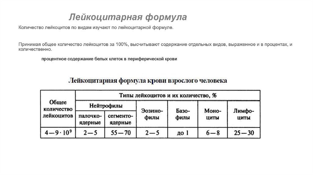 Лейкоцитарная формула