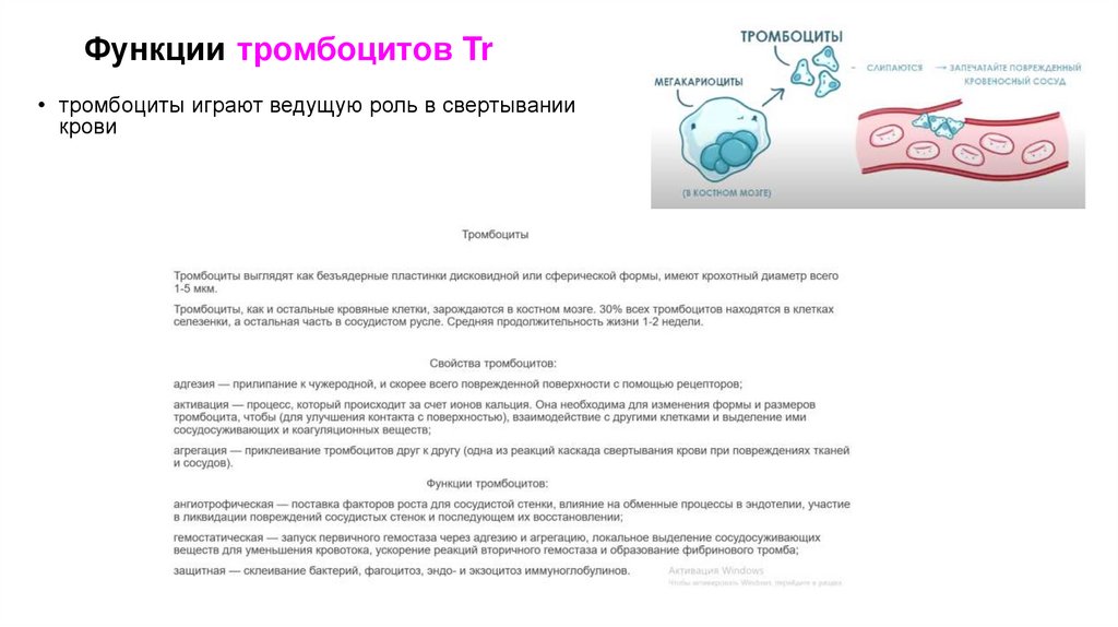 Функции тромбоцитов Tr