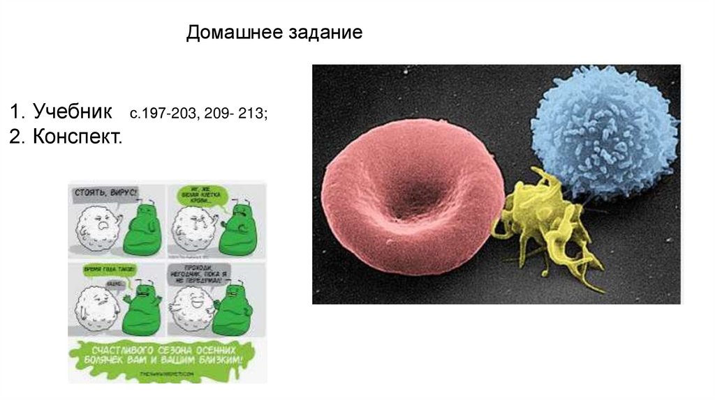 Домашнее задание