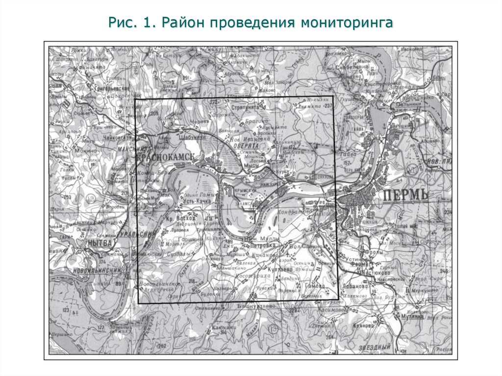 Рис. 1. Район проведения мониторинга