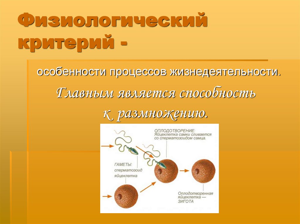 Физиологический критерий -