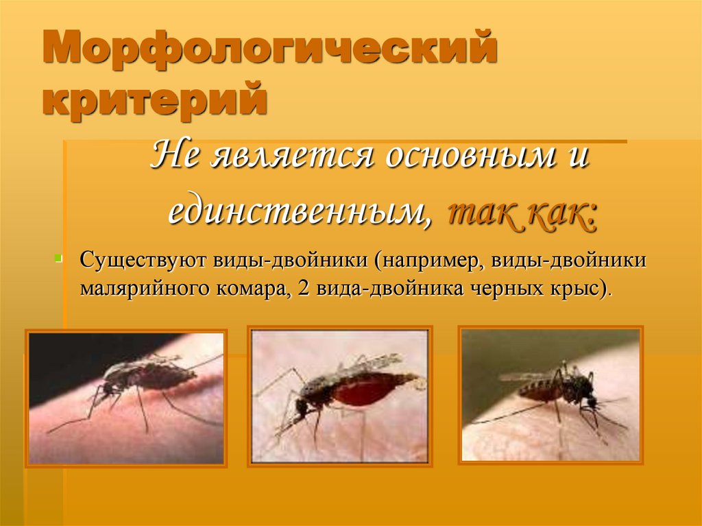 Морфологический критерий