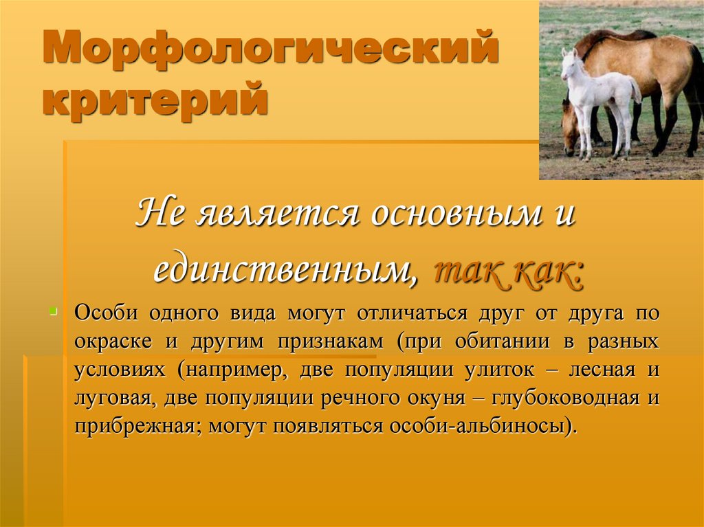 Морфологический критерий