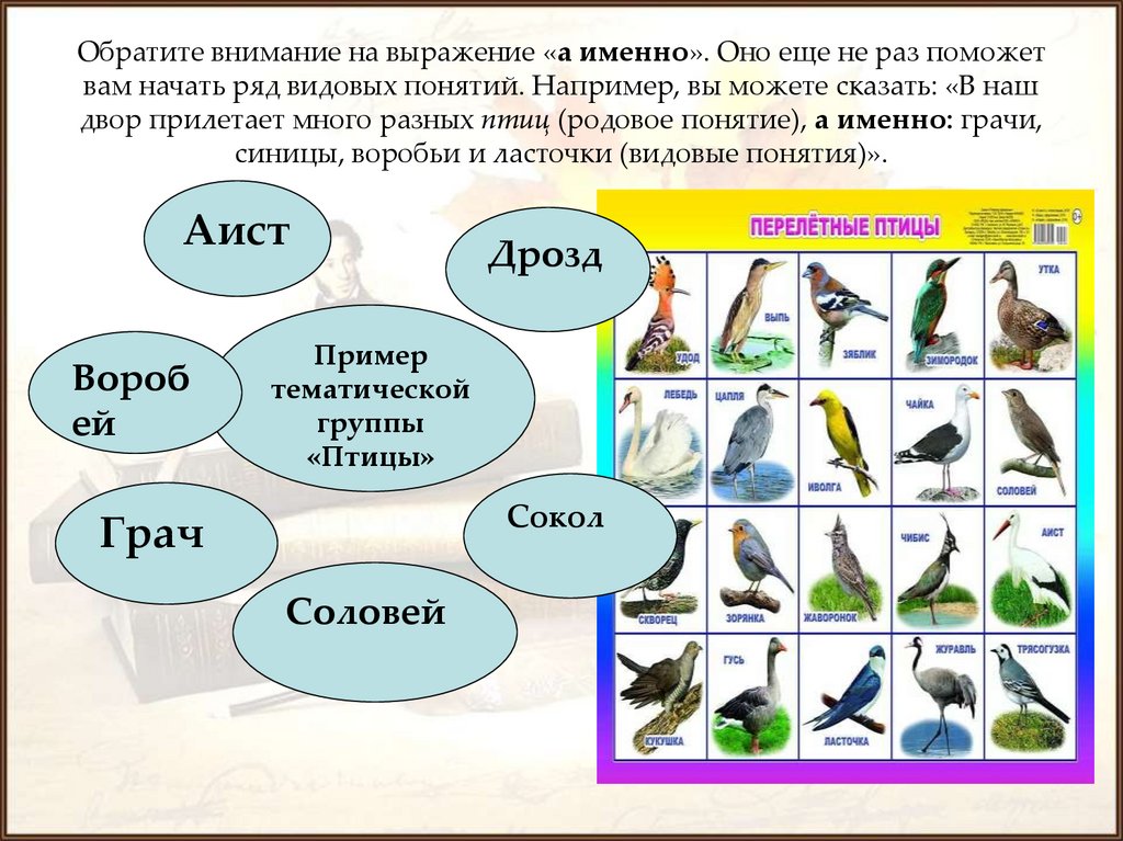 Обратите внимание на выражение «а именно». Оно еще не раз поможет вам начать ряд видовых понятий. Например, вы можете сказать: