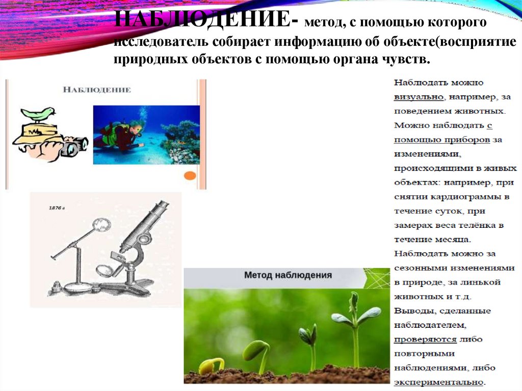 НАБЛЮДЕНИЕ- метод, с помощью которого исследователь собирает информацию об объекте(восприятие природных объектов с помощью