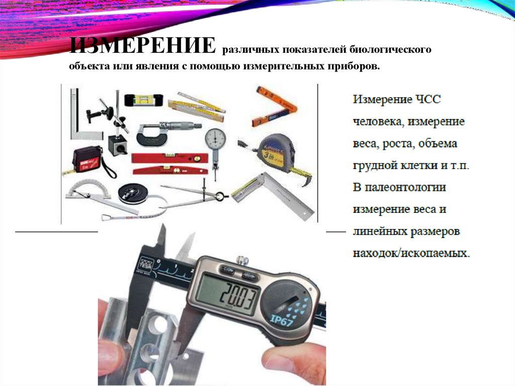 ИЗМЕРЕНИЕ различных показателей биологического объекта или явления с помощью измерительных приборов.