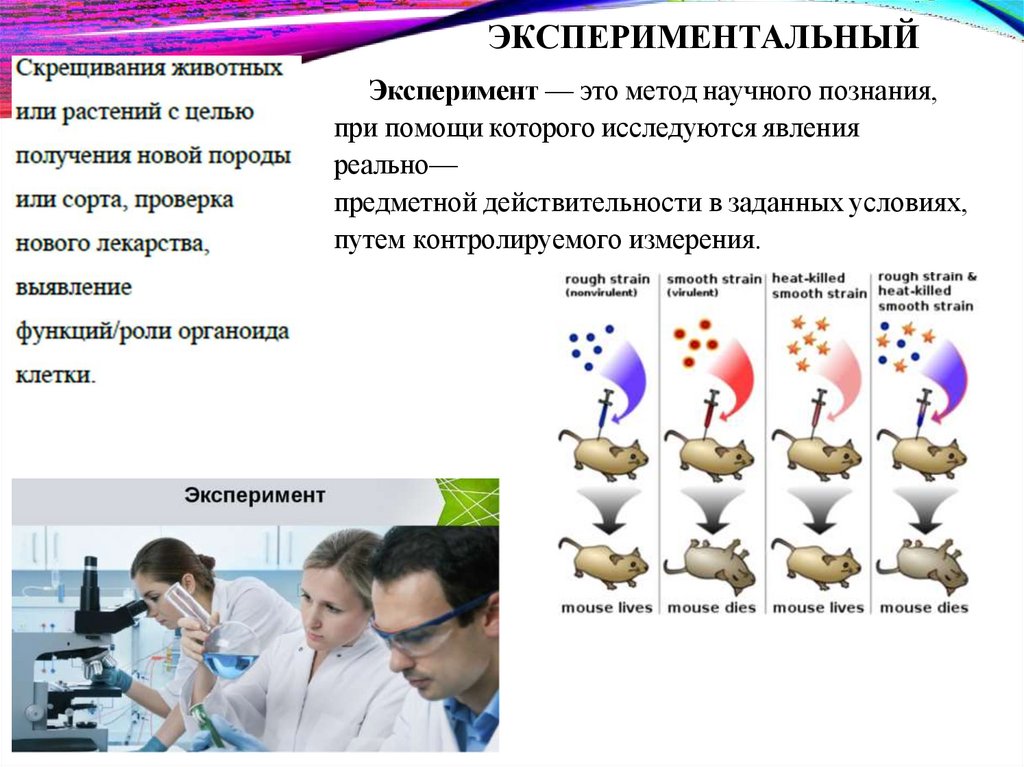 ЭКСПЕРИМЕНТАЛЬНЫЙ