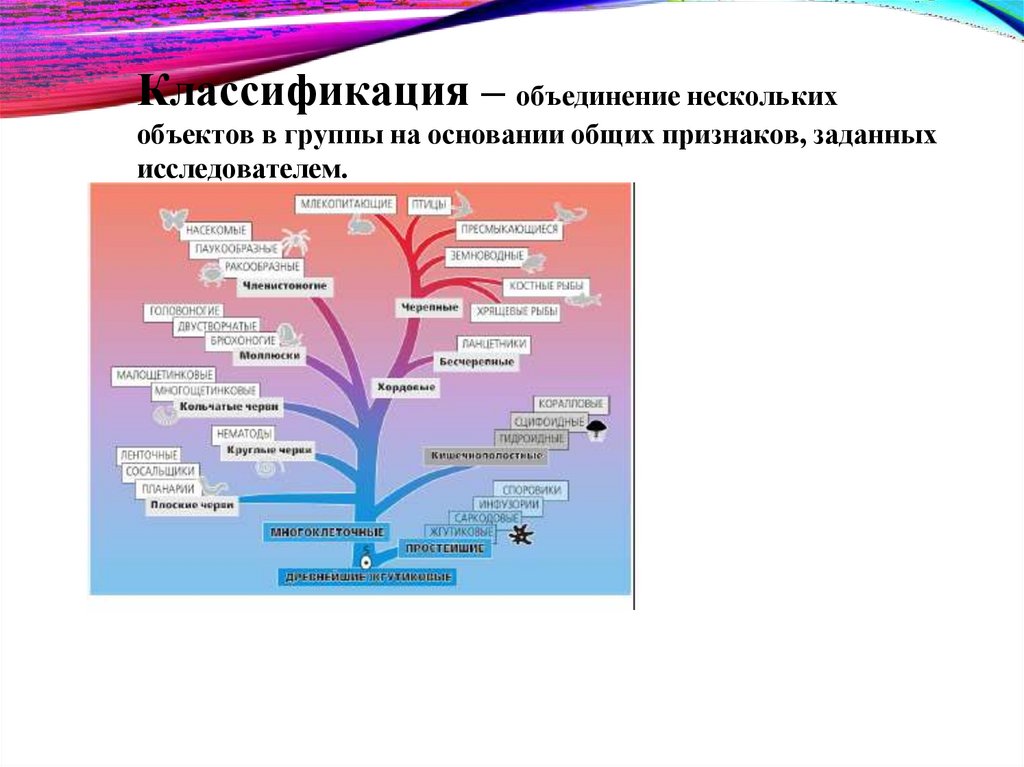 Классификация – объединение нескольких объектов в группы на основании общих признаков, заданных исследователем.