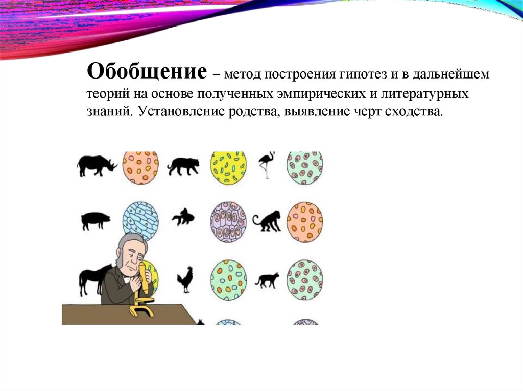 Обобщение – метод построения гипотез и в дальнейшем теорий на основе полученных эмпирических и литературных знаний.