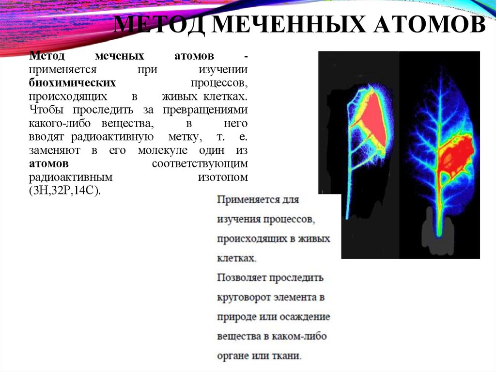 МЕТОД МЕЧЕННЫХ АТОМОВ