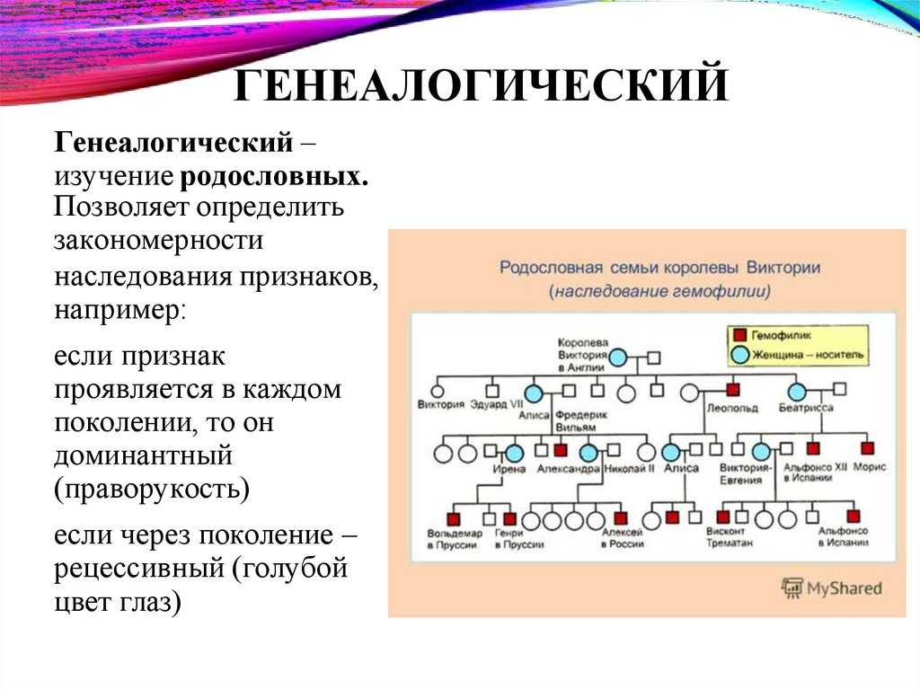 ГЕНЕАЛОГИЧЕСКИЙ