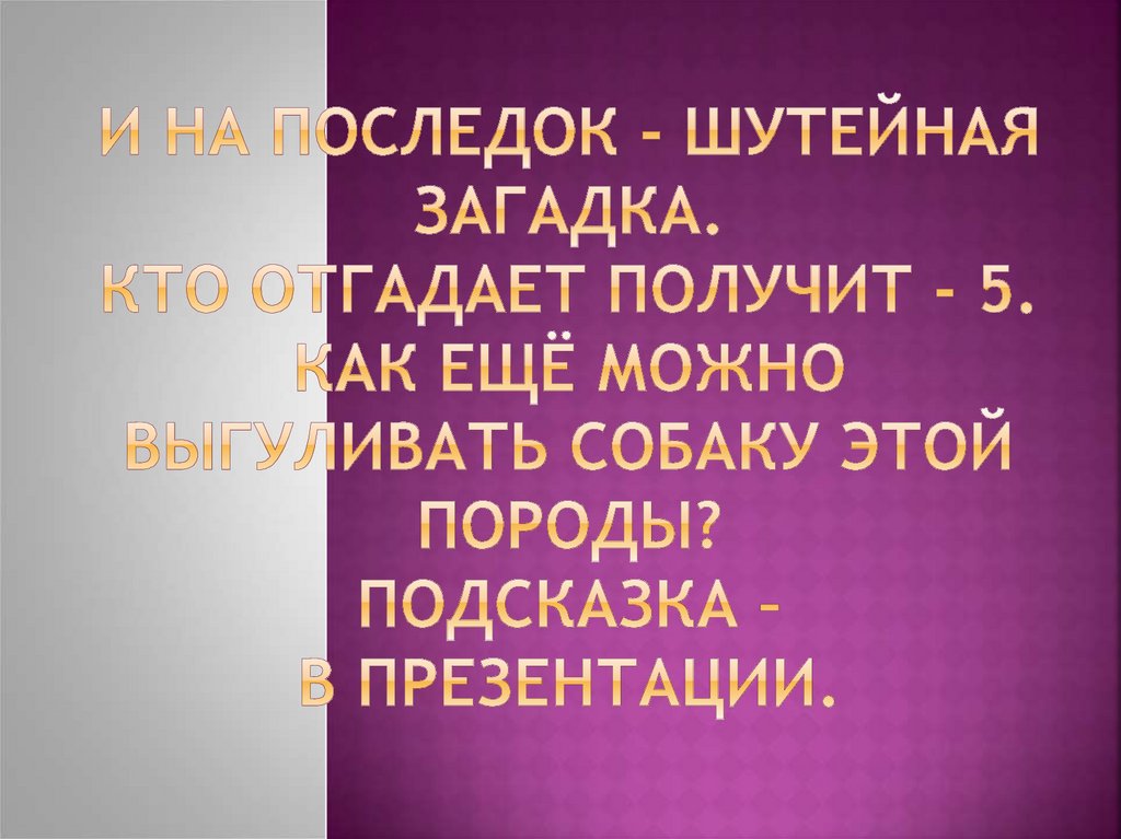 И на последок - шутейная загадка. КТО ОТГАДАЕТ ПОЛУЧИТ - 5. Как ещё можно выгуливать собаку этой породы? Подсказка – в