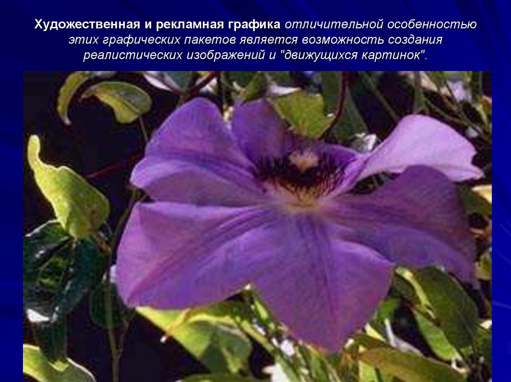 Художественная и рекламная графика отличительной особенностью этих графических пакетов является возможность создания