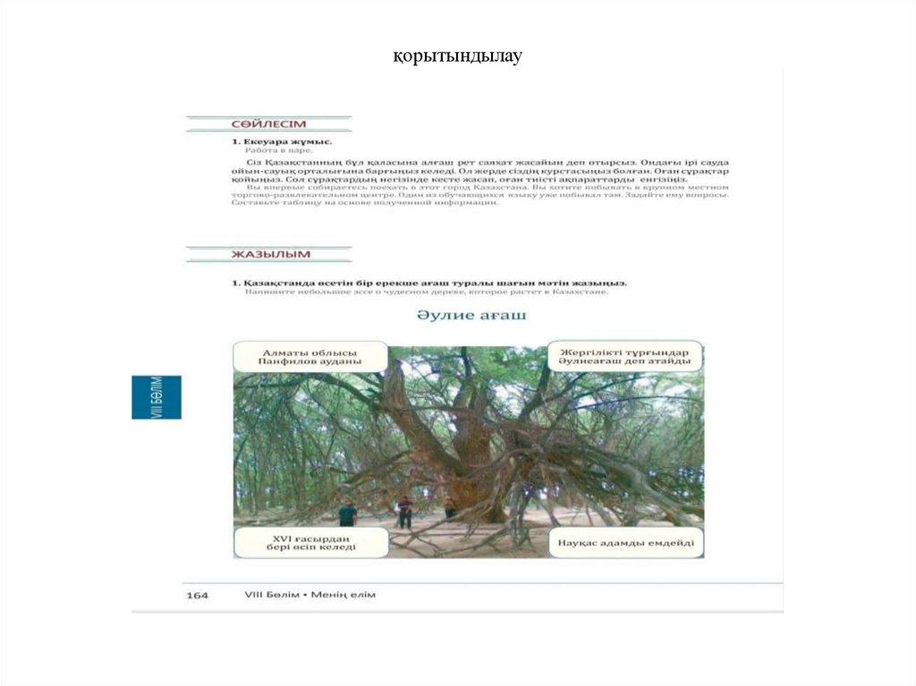 қорытындылау