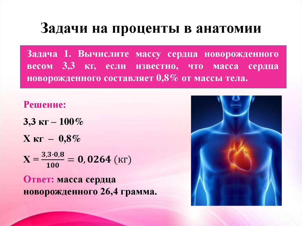 Задачи на проценты в анатомии