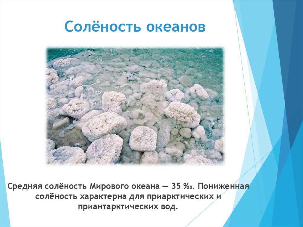 Солёность океанов