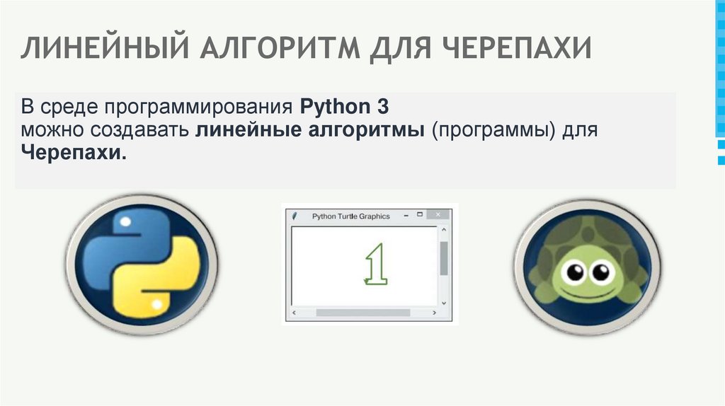 ЛИНЕЙНЫЙ АЛГОРИТМ ДЛЯ ЧЕРЕПАХИ