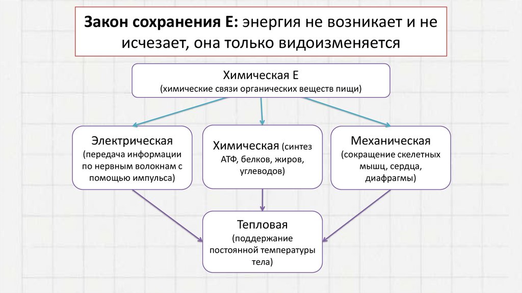 Закон сохранения Е: энергия не возникает и не исчезает, она только видоизменяется