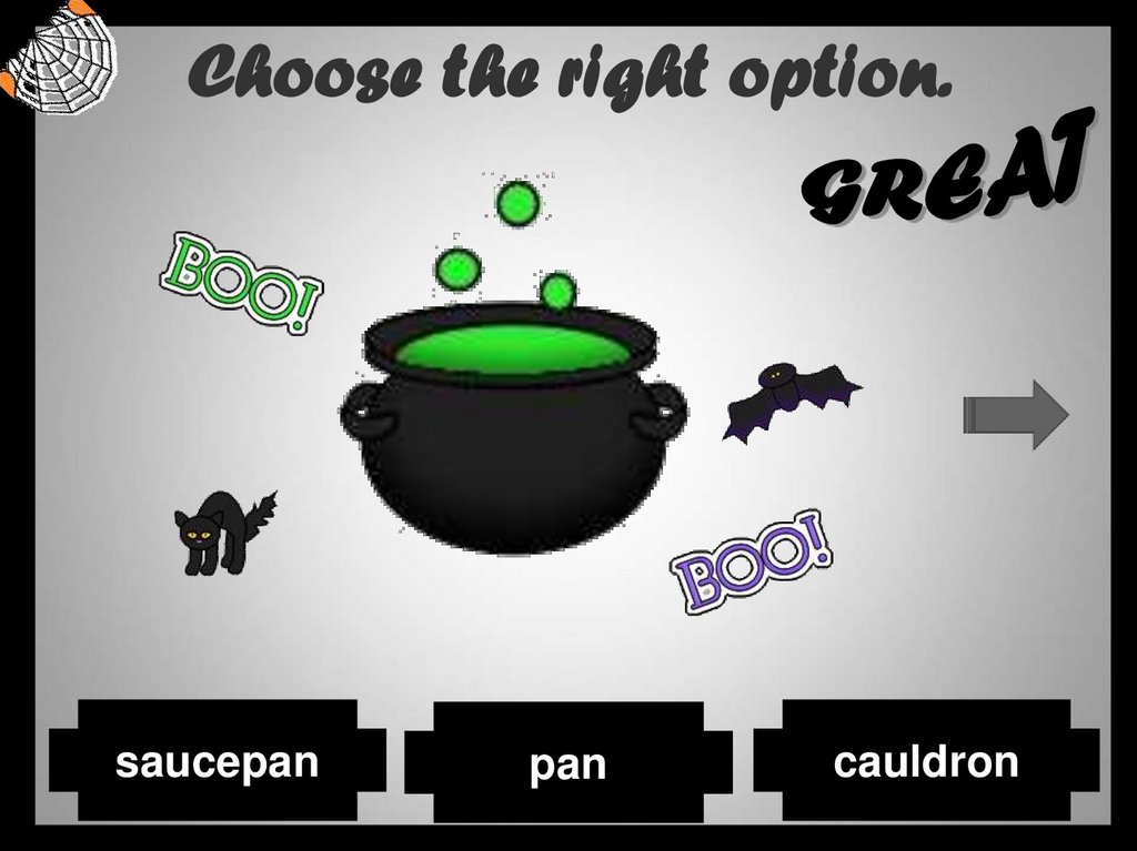 Choose the right option.