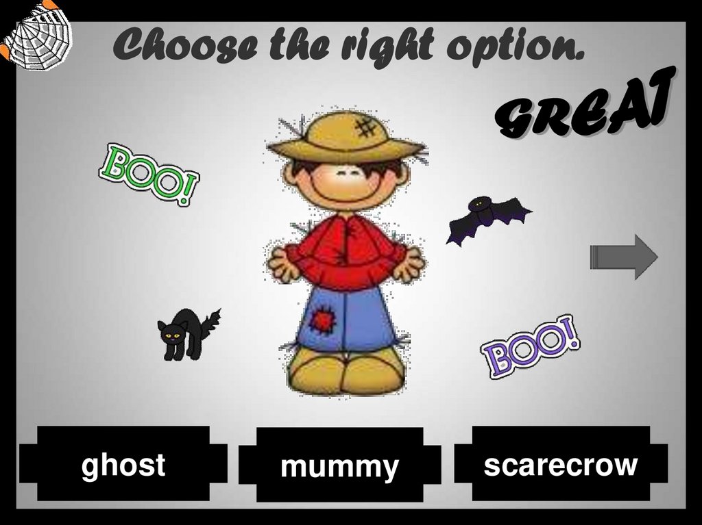 Choose the right option.