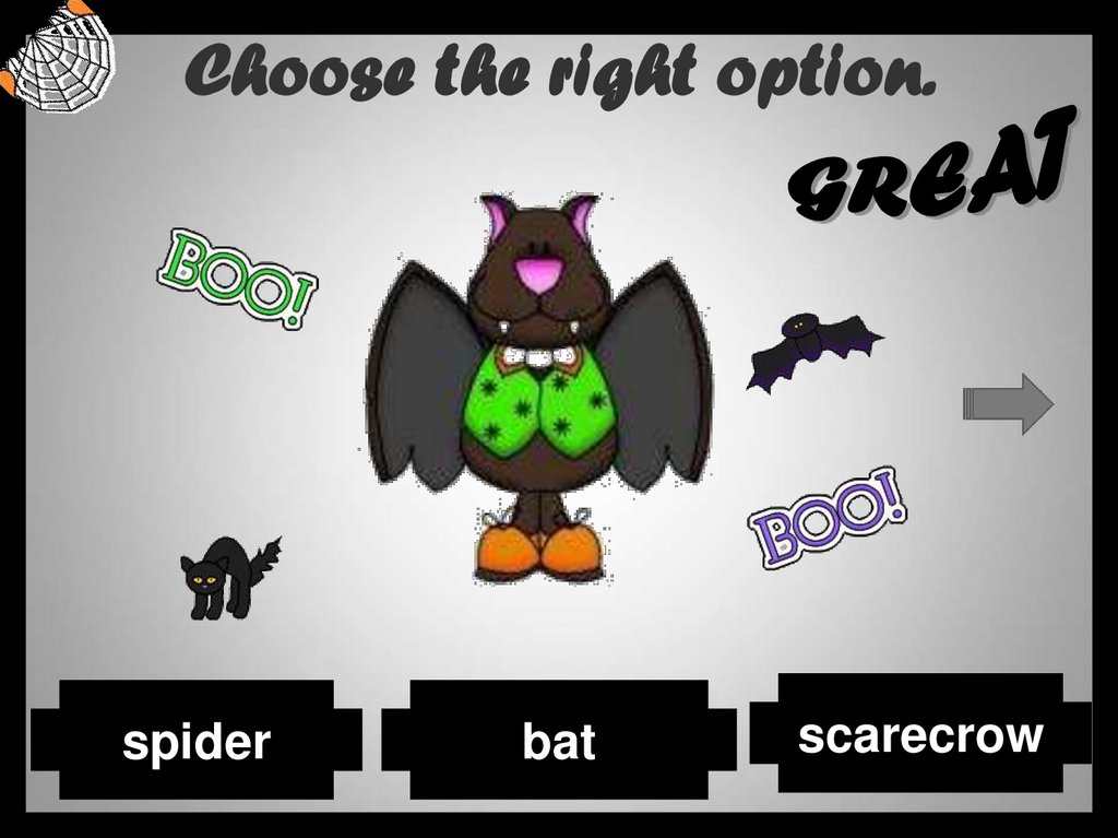 Choose the right option.