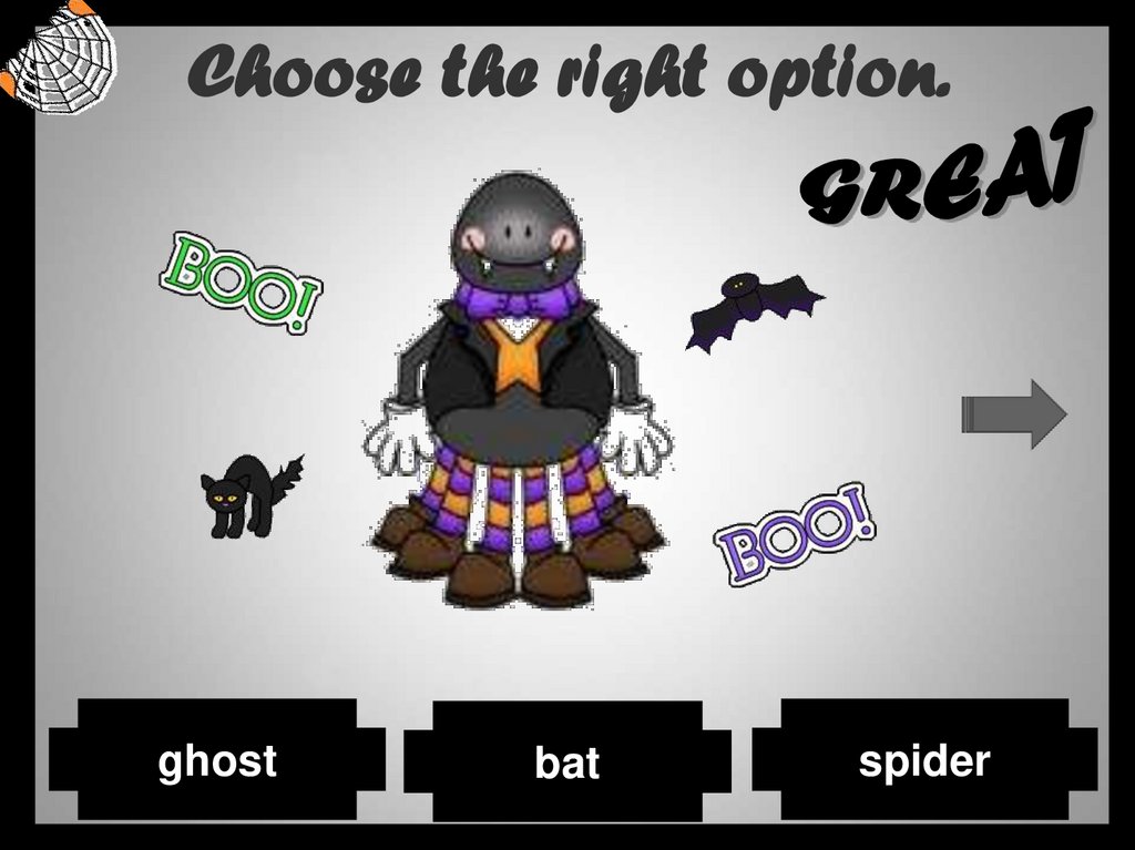 Choose the right option.