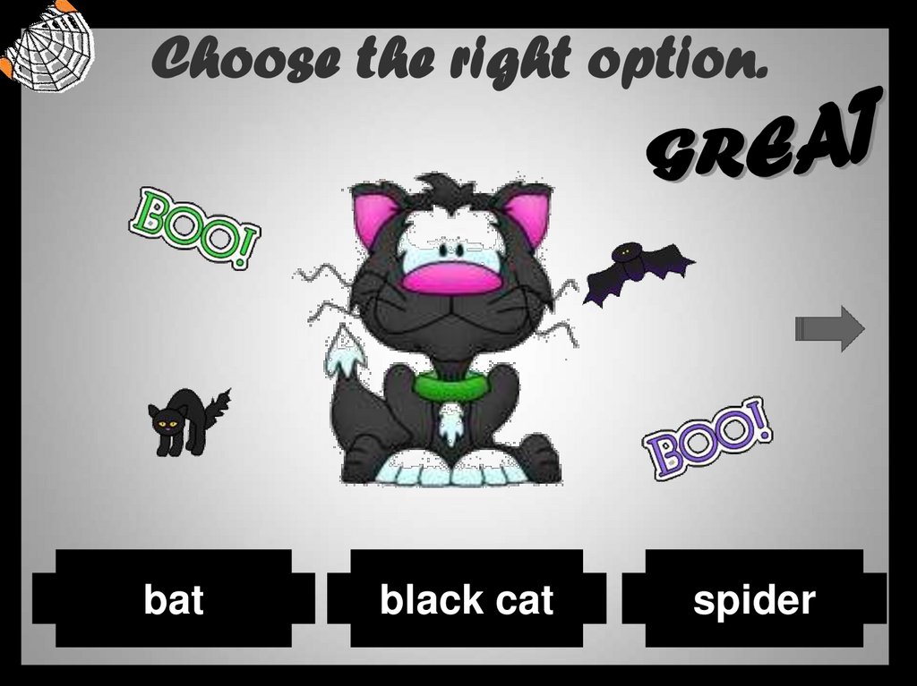 Choose the right option.