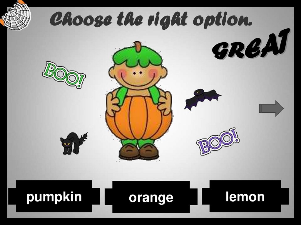 Choose the right option.