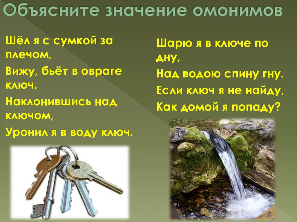 Объясните значение омонимов