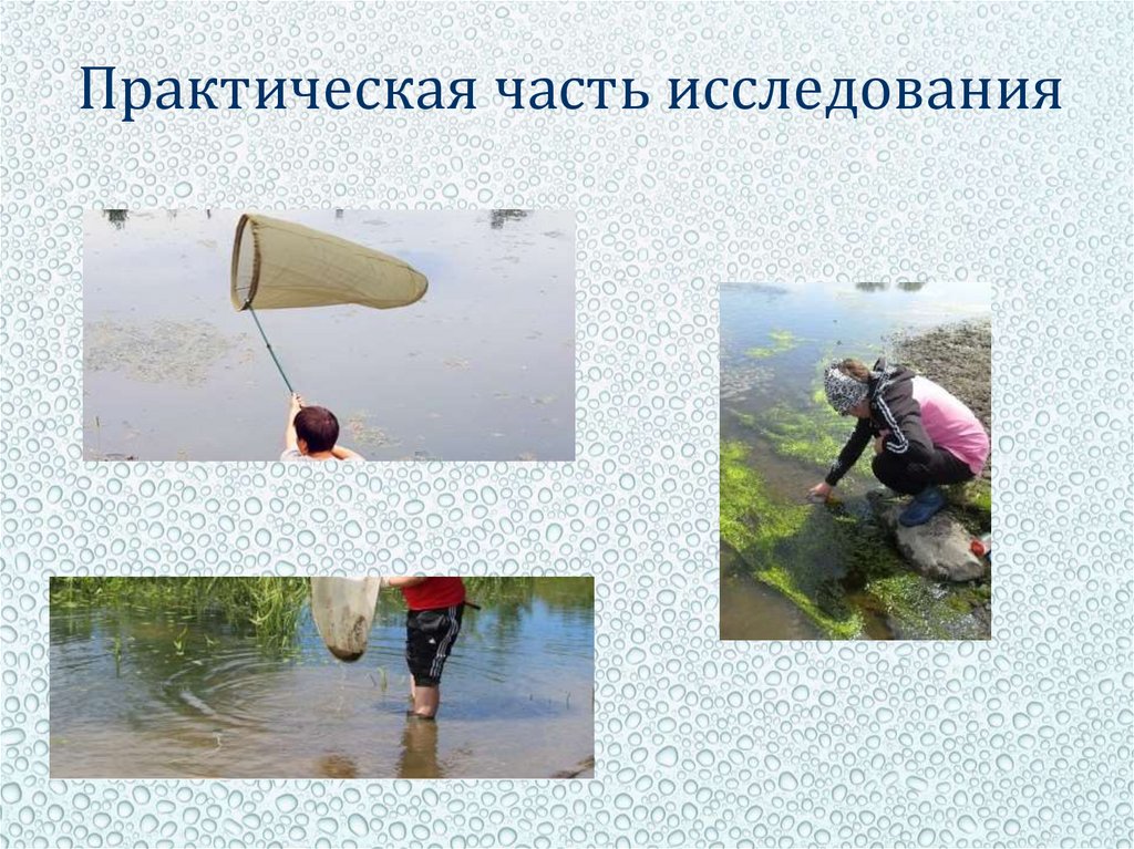 Практическая часть исследования