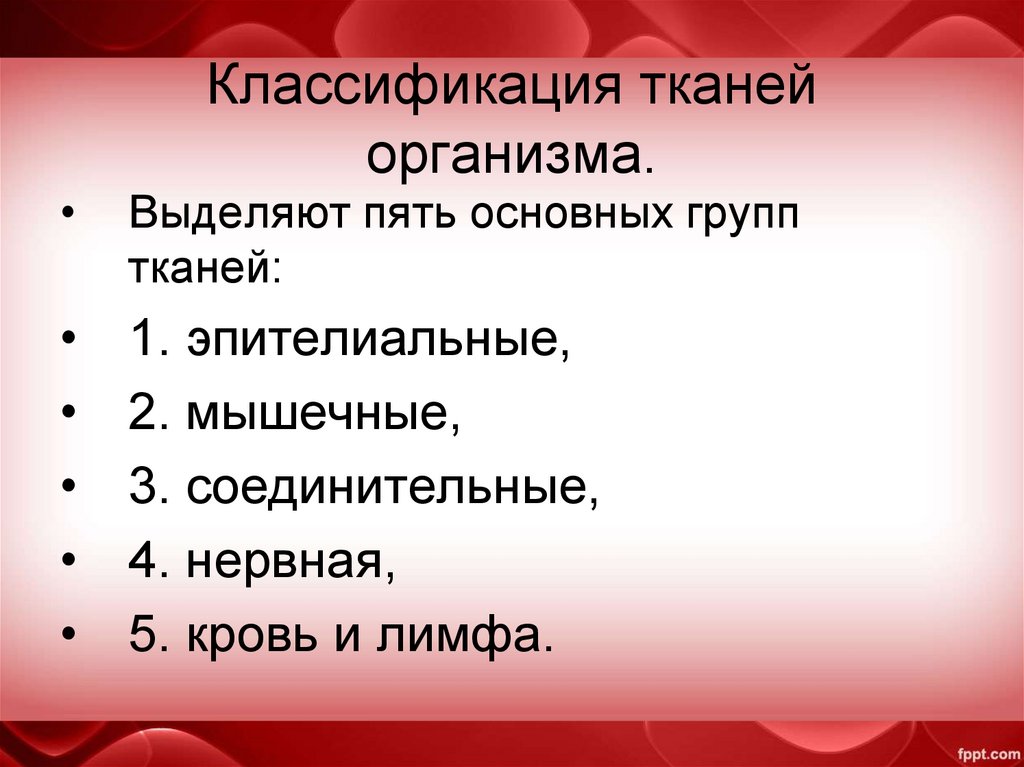 Классификация тканей организма.