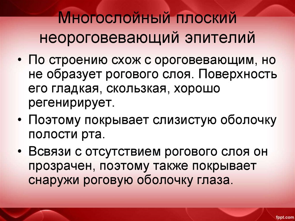 Многослойный плоский неороговевающий эпителий