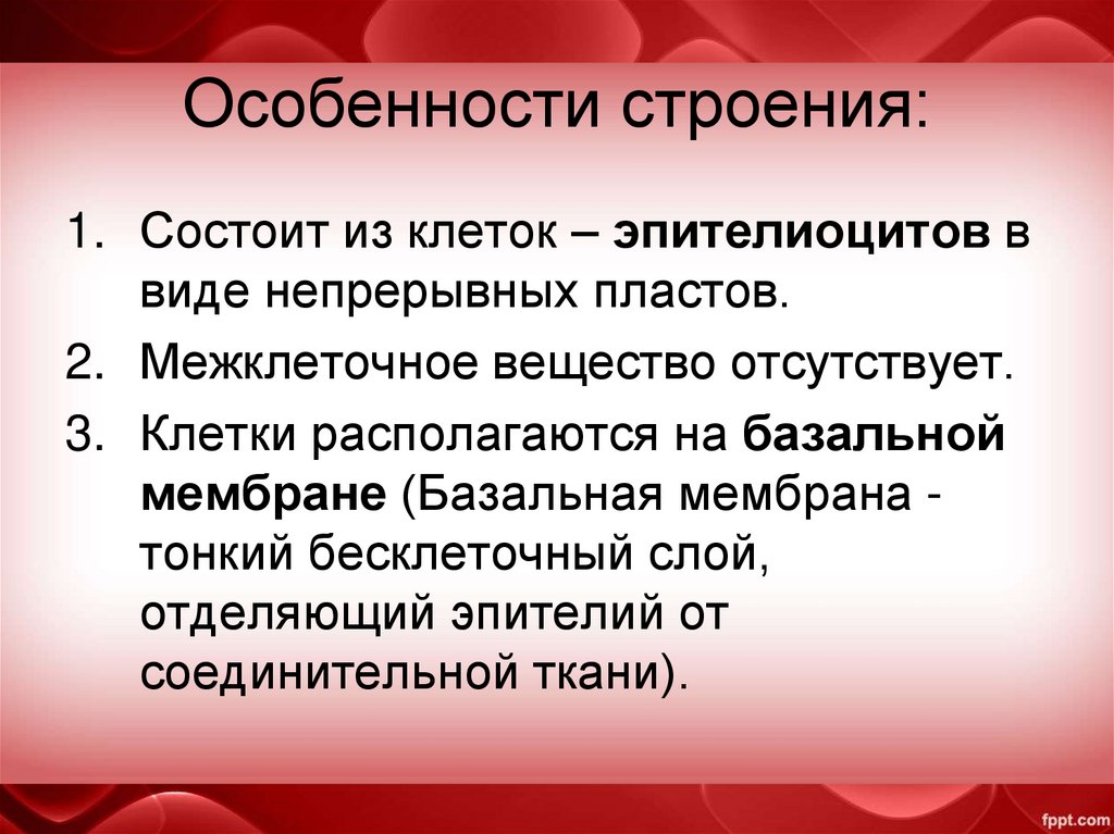 Особенности строения: