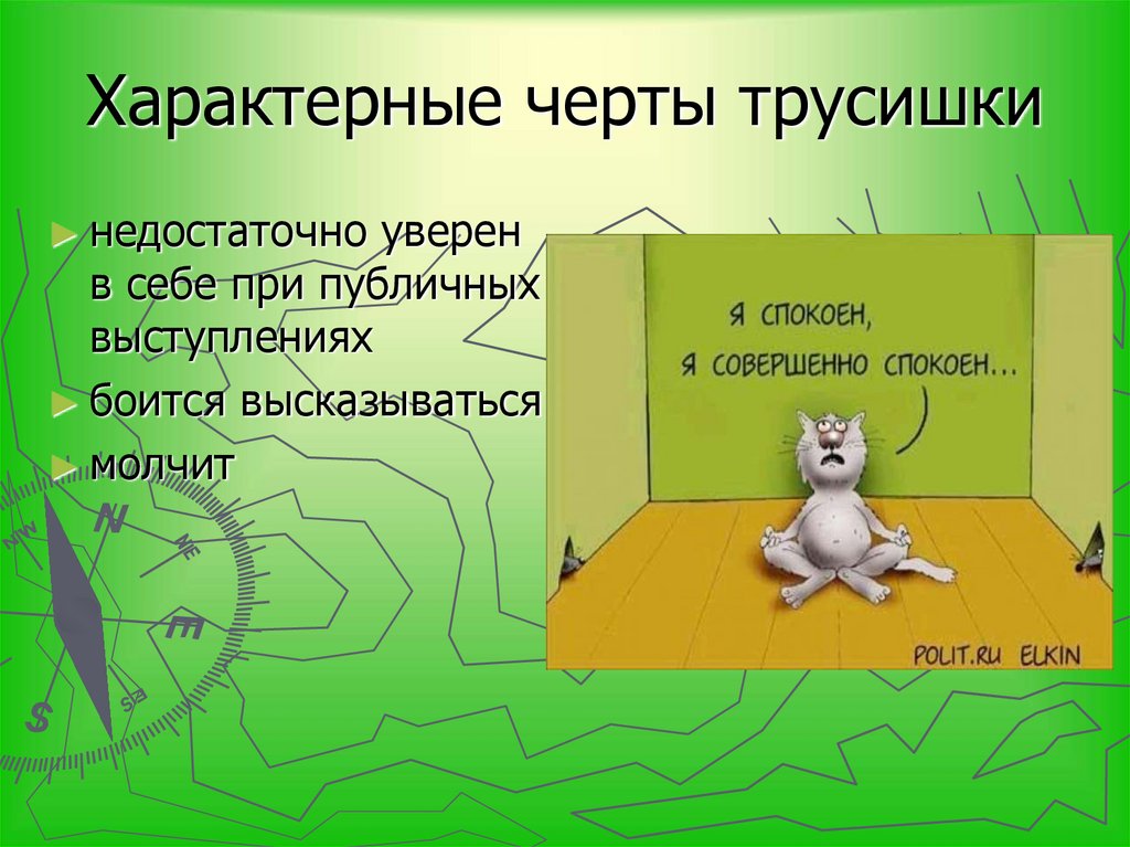Характерные черты трусишки