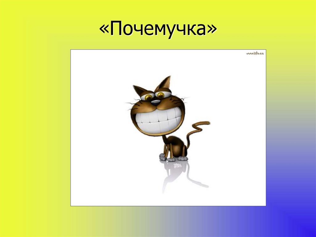 «Почемучка»