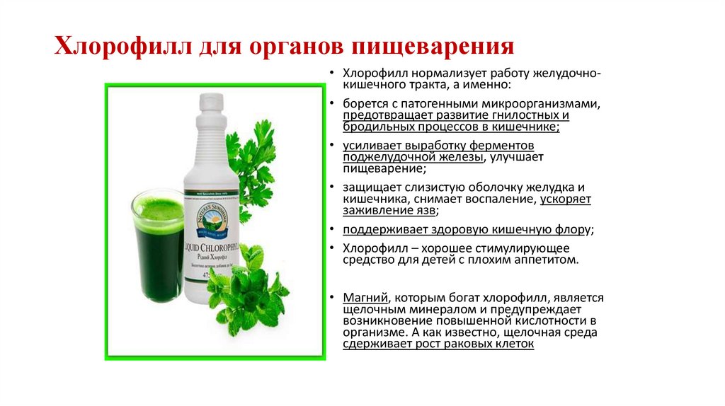 Хлорофилл для органов пищеварения