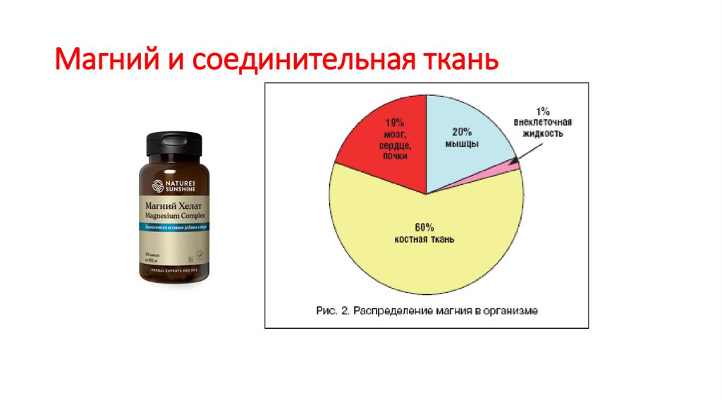 Магний и соединительная ткань