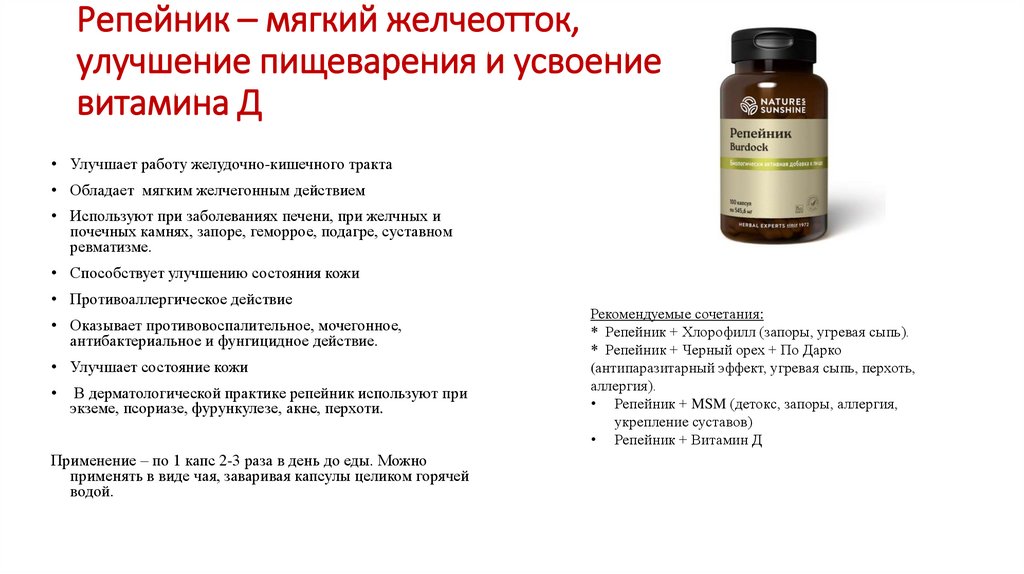 Репейник – мягкий желчеотток, улучшение пищеварения и усвоение витамина Д