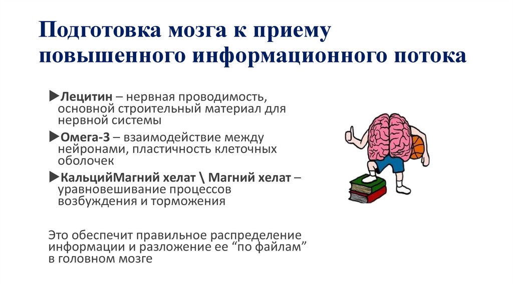 Подготовка мозга к приему повышенного информационного потока