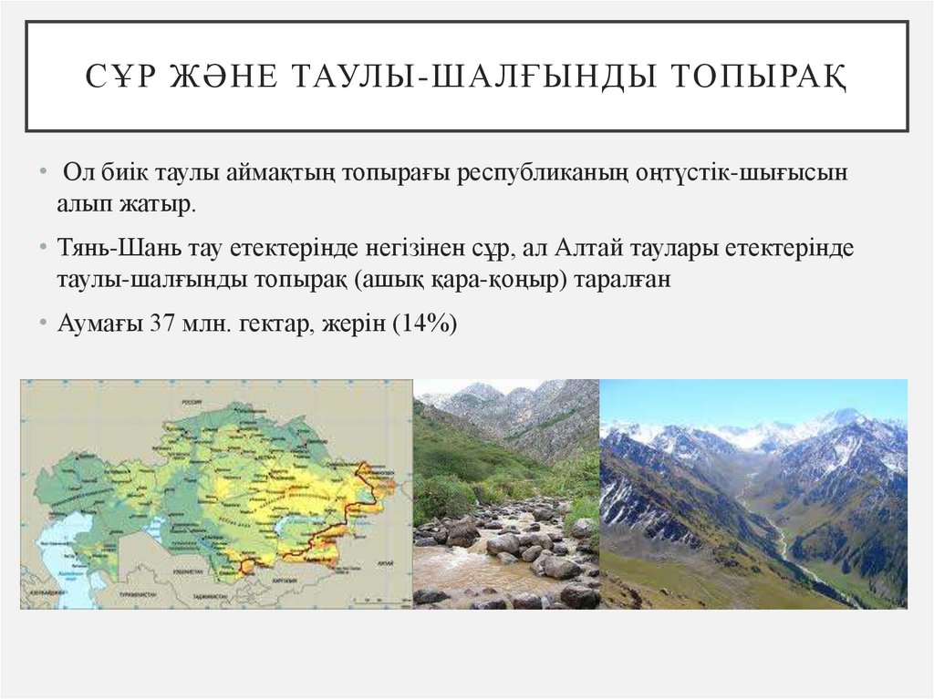 Сұр және таулы-шалғынды топырақ