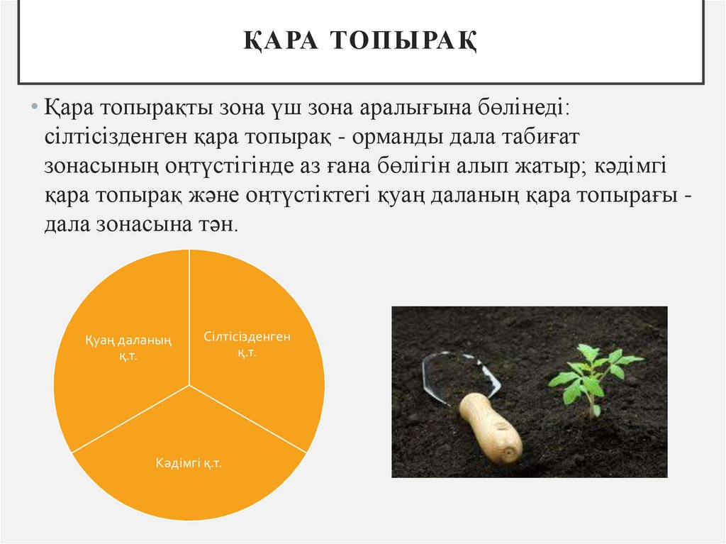 Қара топырақ