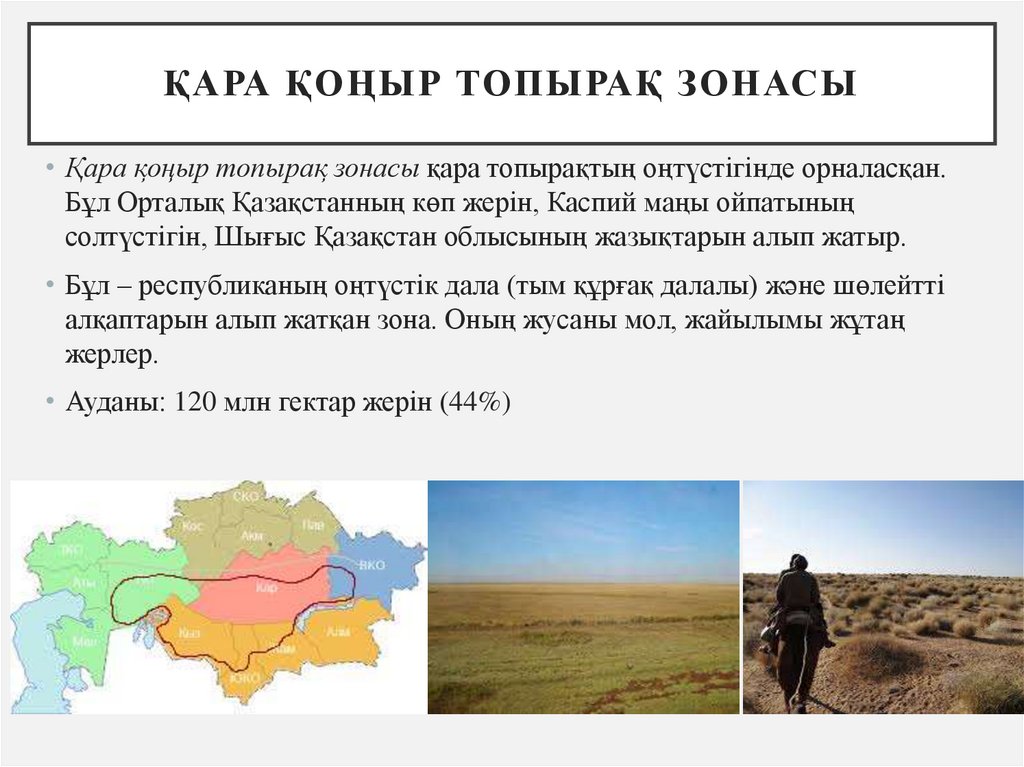 Қара қоңыр топырақ зонасы