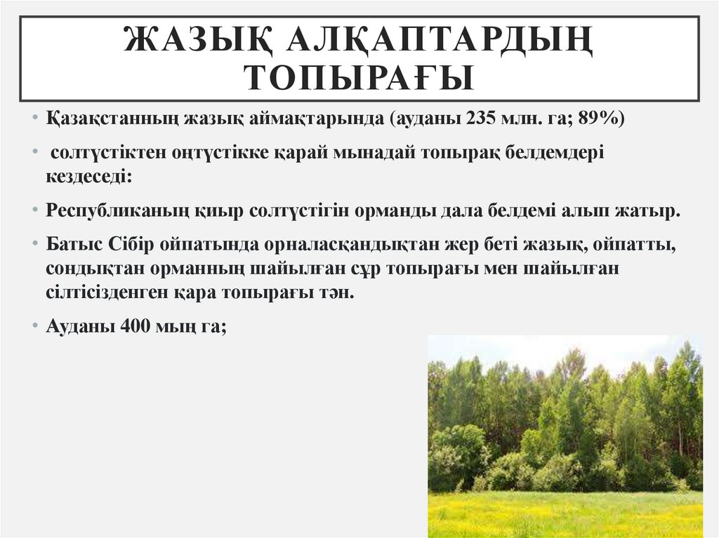 Жазық алқаптардың топырағы