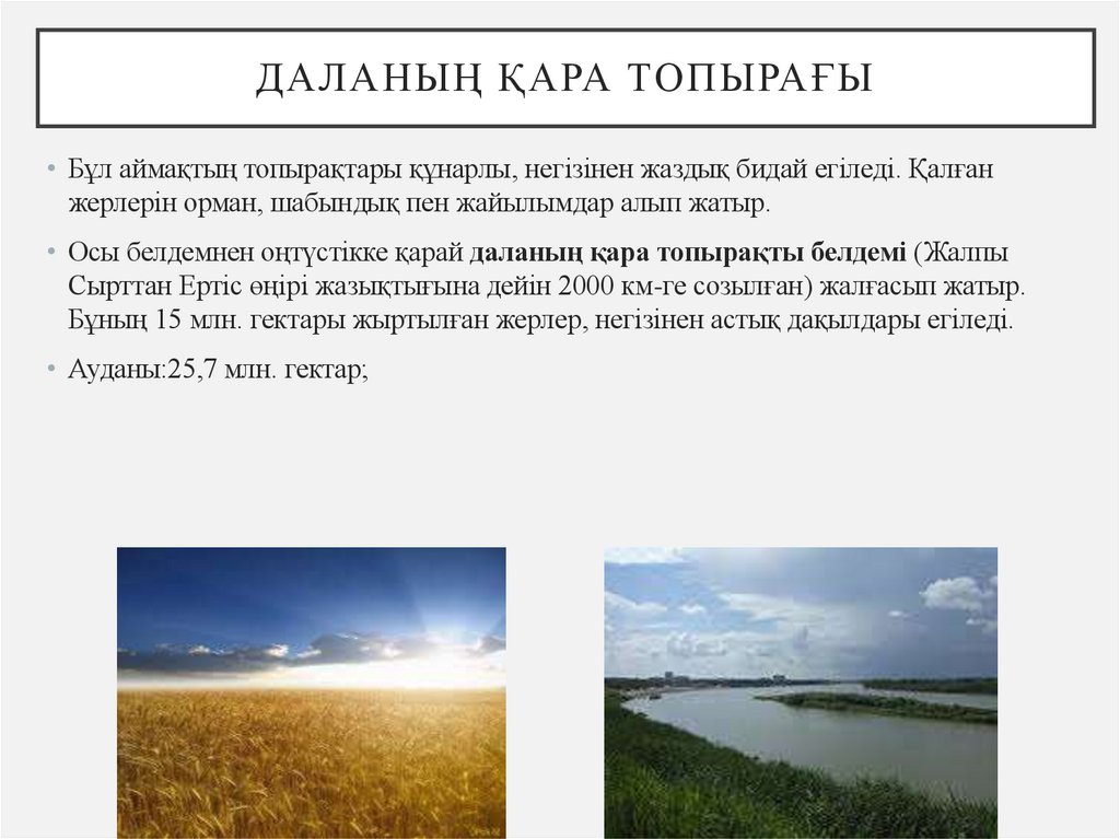 Даланың қара топырағы