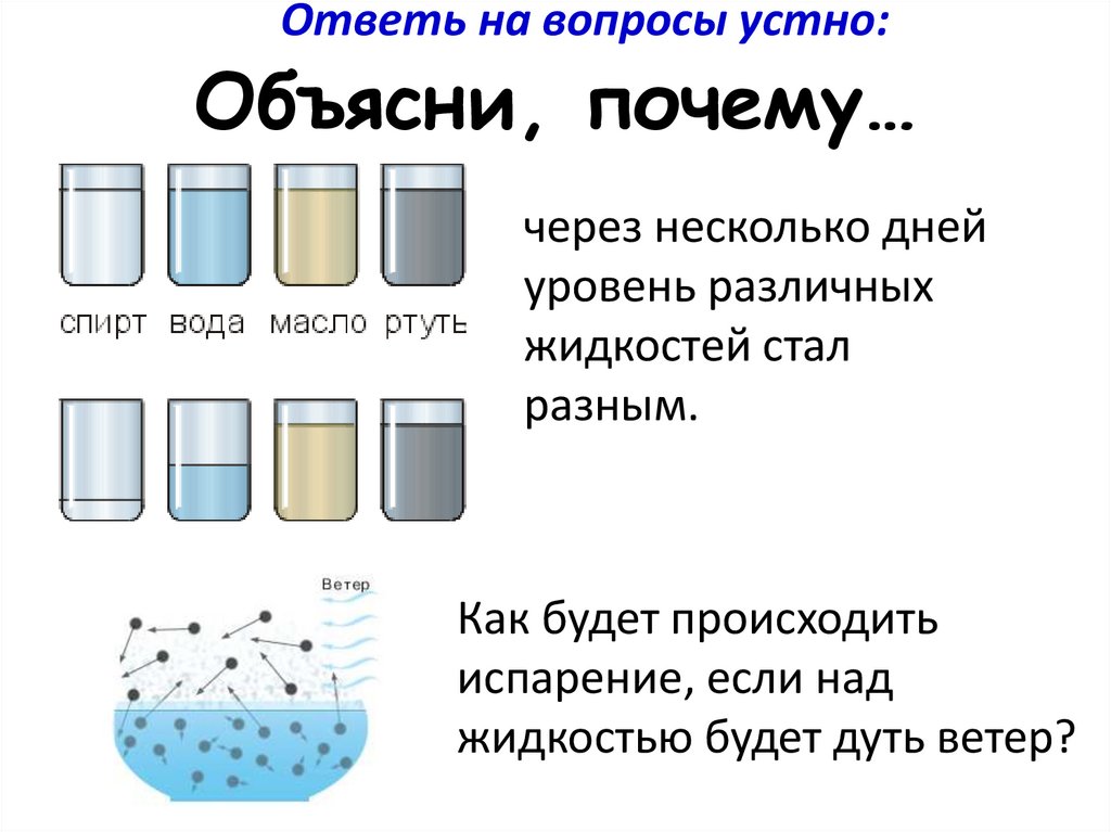 Объясни, почему…
