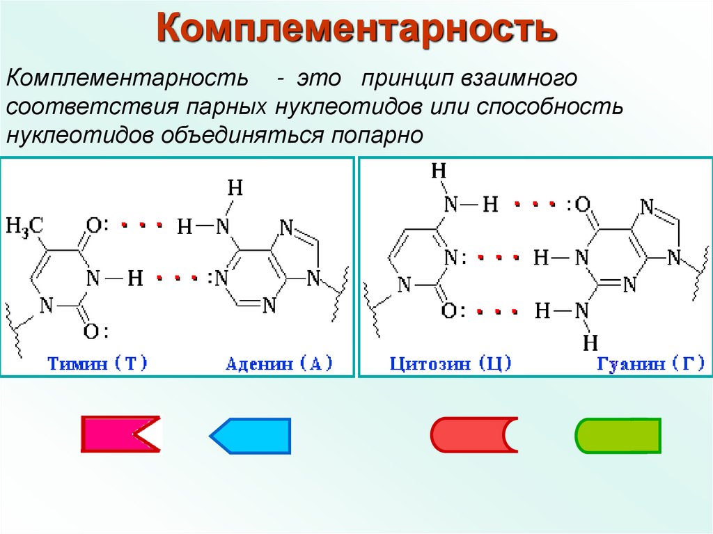 Комплементарность