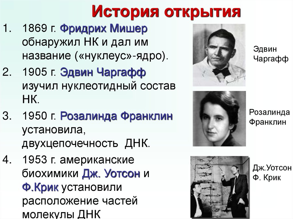 История открытия