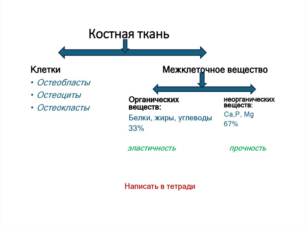 Костная ткань
